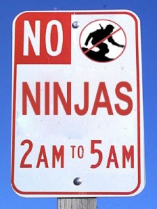 no-ninjas1-jpg