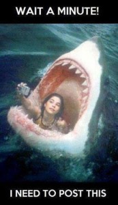 funny-shark-myspace-pic