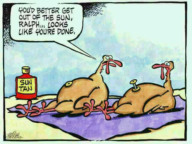 funny-thanksgiving-pictures-jokes