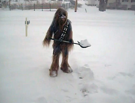 funny-chewbacca-snow