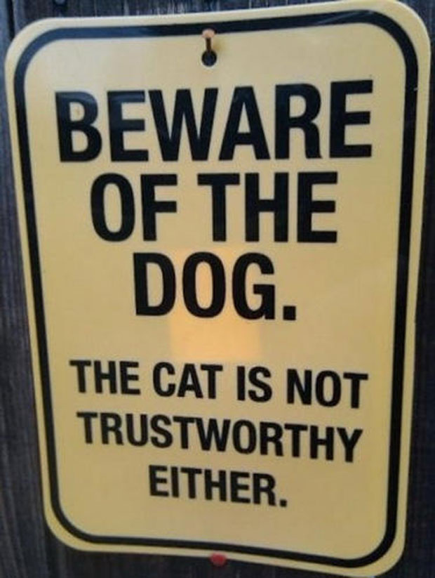 Funny-Sign-Boards-Beware-of-dogs-cats-10