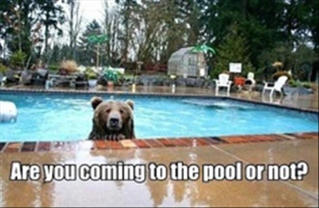 pool-funny-pictures