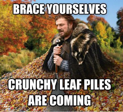Funniest_Memes_brace-yourselves-crunchy-leaf-piles-are-coming_16752